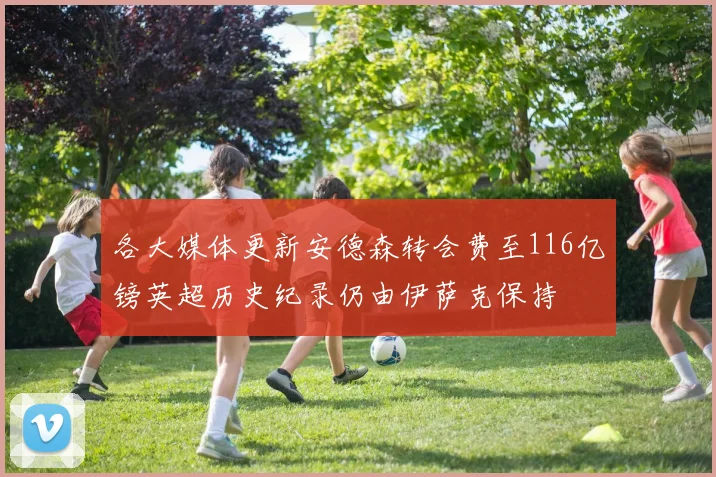 各大媒体更新安德森转会费至116亿镑英超历史纪录仍由伊萨克保持